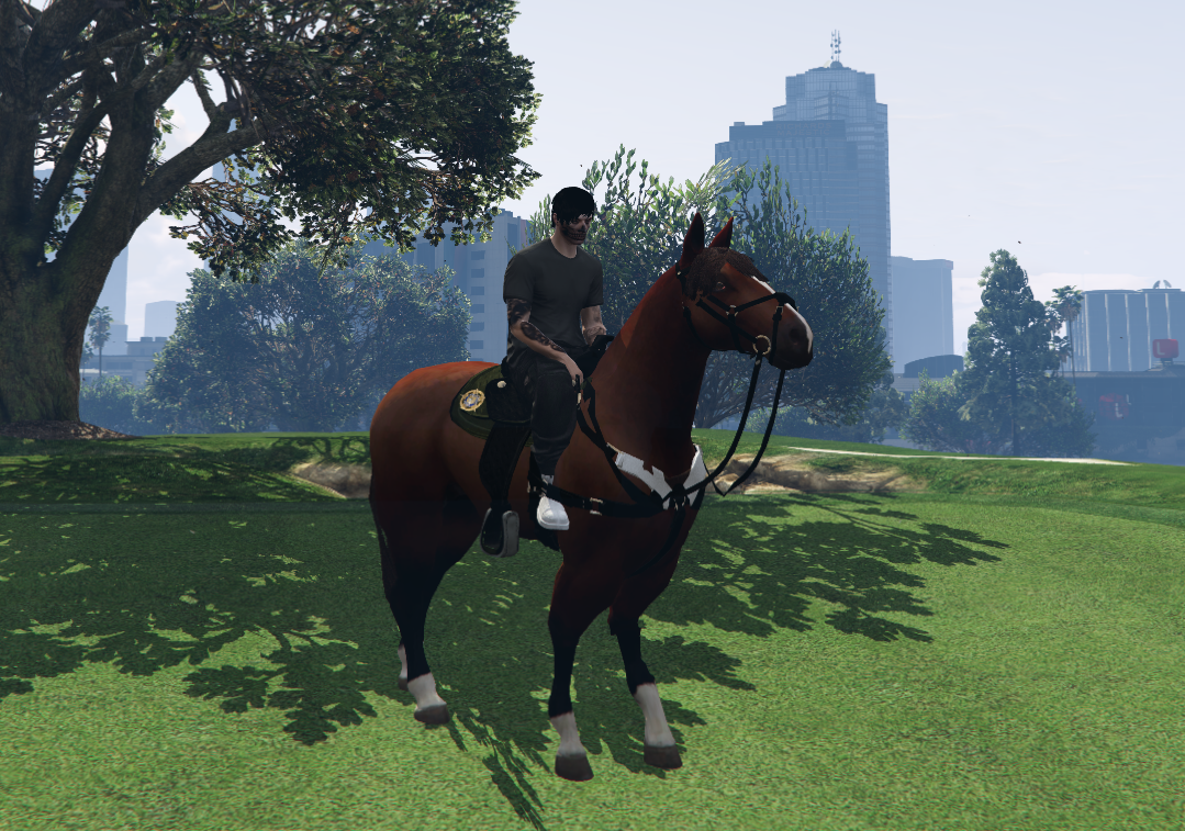 Caballo de policía
