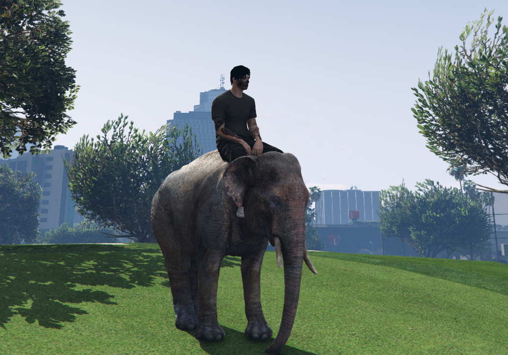 Elefante Grande