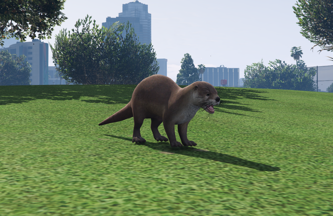 Nutria