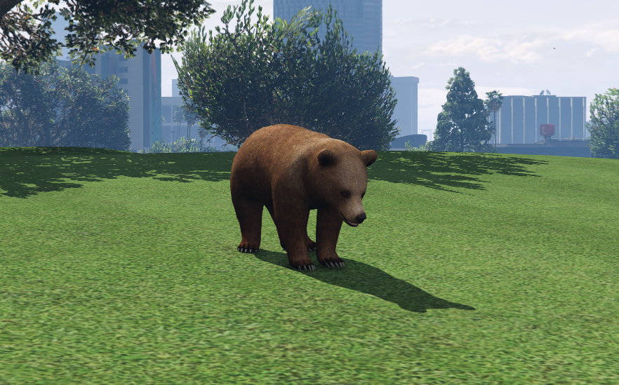 Oso Polar