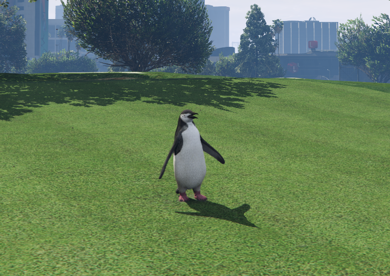Pingüino