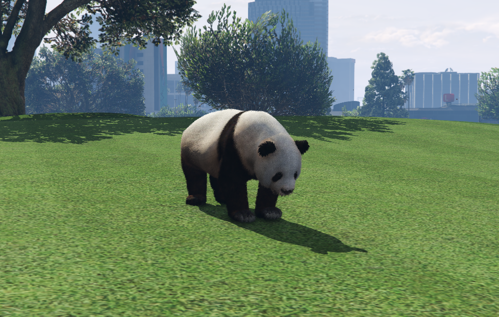 Panda