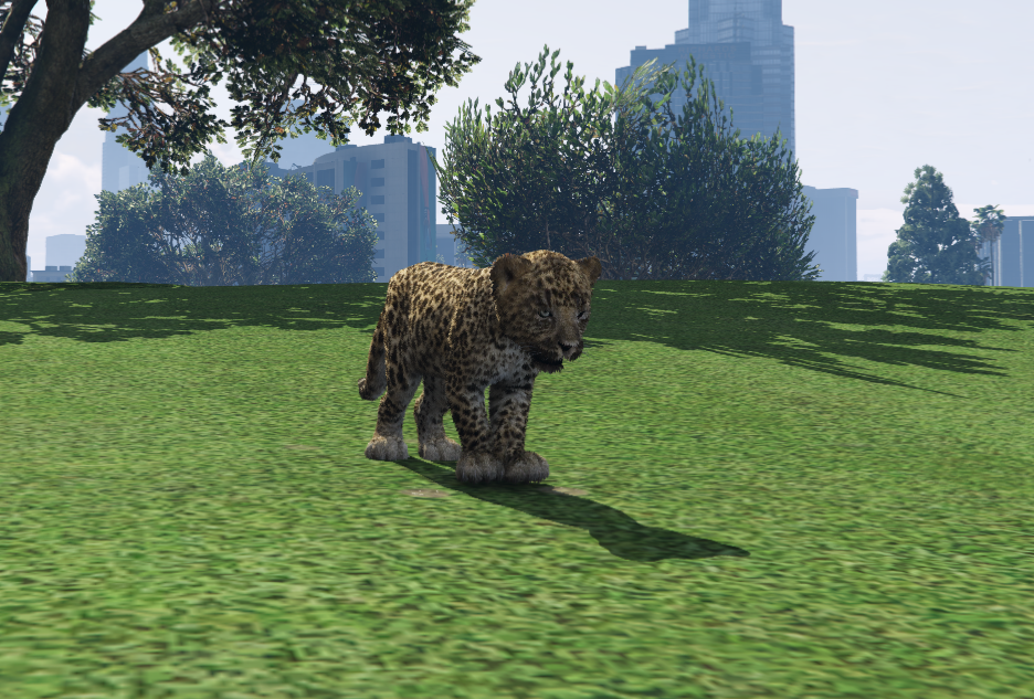 Cachorro de tigre