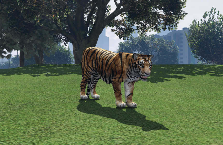 Tigre de Bengala