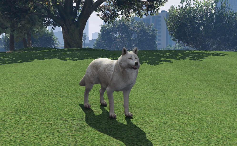 Dire Wolf