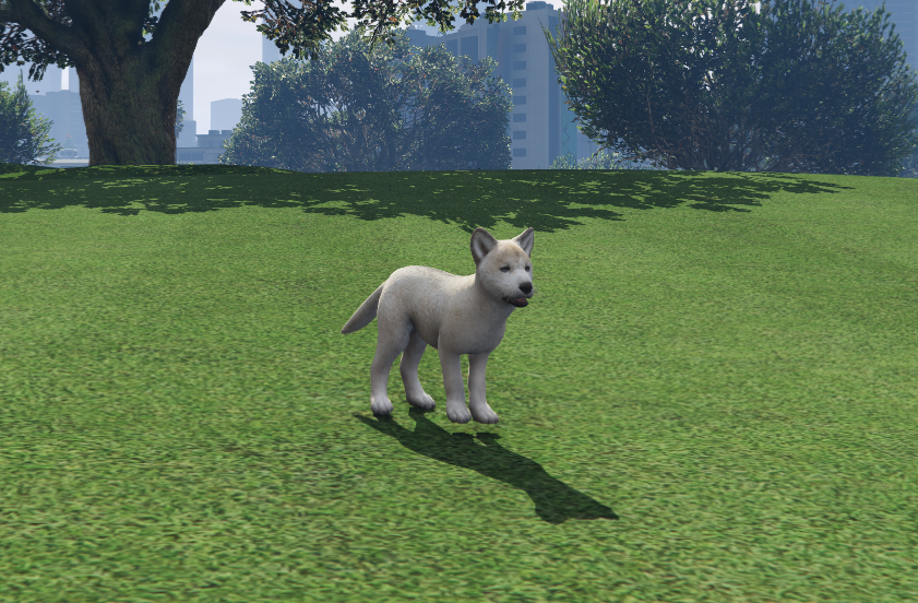 Dire Wolf Cachorro