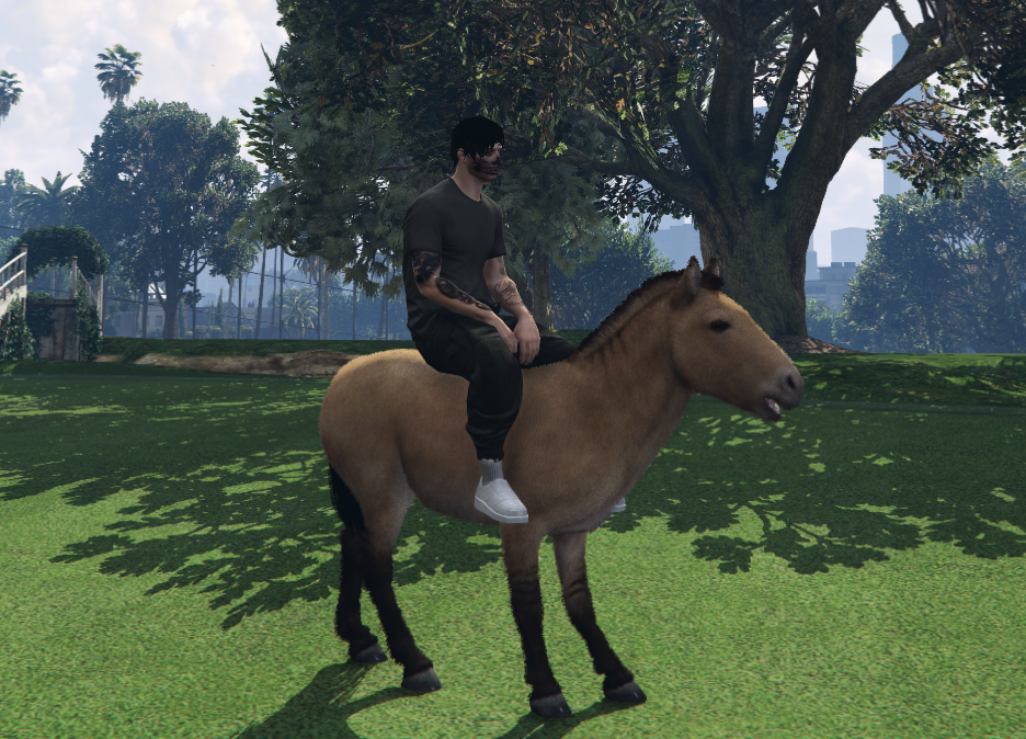 Caballo